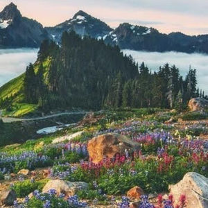 Meet your Posher, Claire